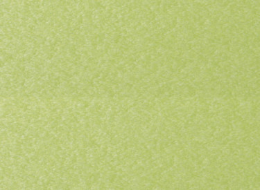 Kiwi Green