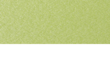 Kiwi Green on White