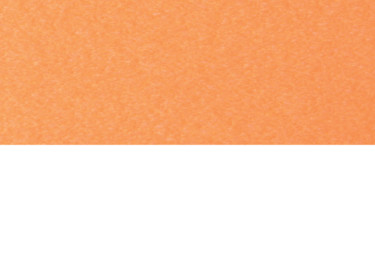 Mango Orange on White