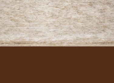 Sea Shell on Chocolate Brown