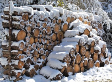 Firewood Preparation